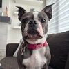 shareenwalter
